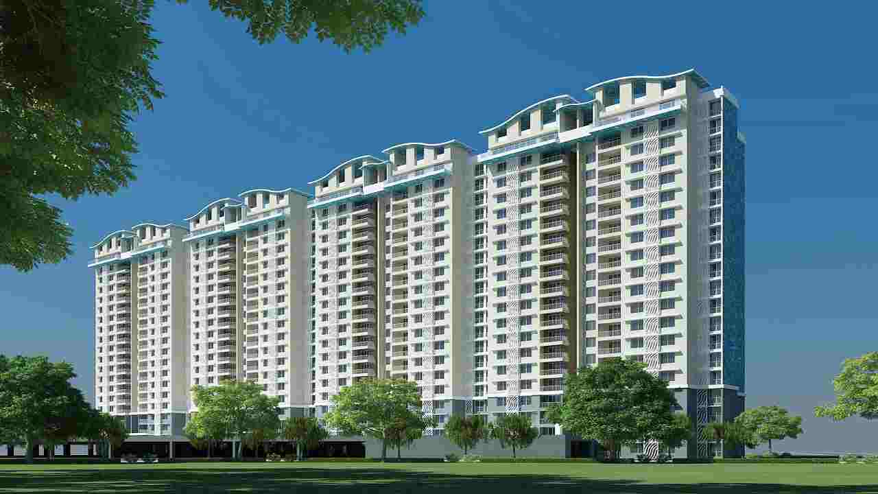 Purva Palm Beach-cover-06